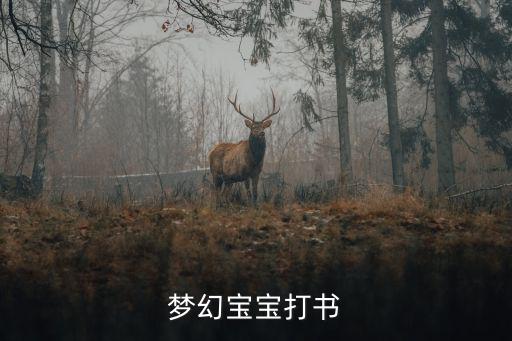 梦幻宝宝打书