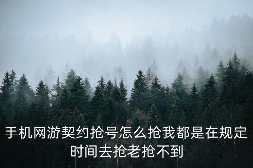 手机网游契约抢号怎么抢我都是在规定时间去抢老抢不到