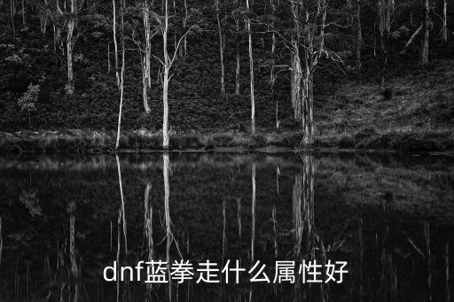 dnf蓝拳走什么属性好