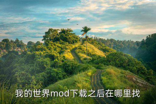 我的世界mod下载之后在哪里找