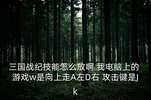 三国战纪技能怎么放啊 我电脑上的 游戏w是向上走A左D右 攻击键是Jk