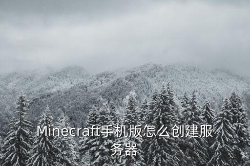 Minecraft手机版怎么创建服务器