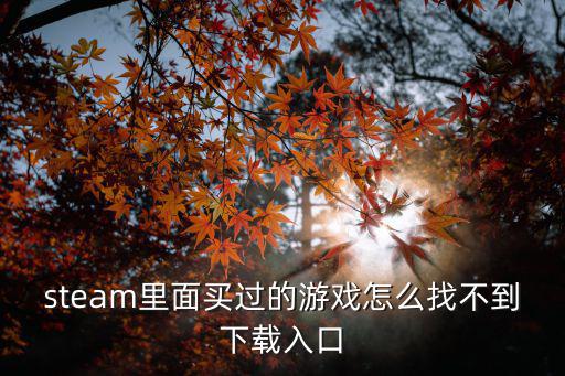 steam里面买过的游戏怎么找不到下载入口