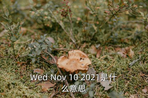 2021完美手游羽岚怎么样，2020年11份摇到浙A牌照现在要去当兵了能延迟上牌吗