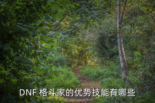 DNF 格斗家的优势技能有哪些