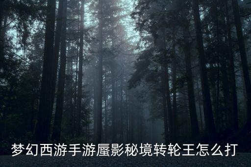 梦幻西游手游蜃影秘境转轮王怎么打