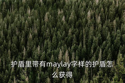 护盾里带有maylay字样的护盾怎么获得