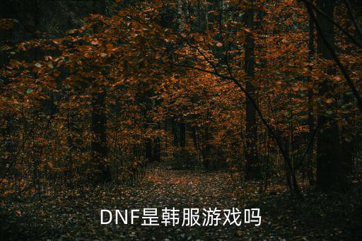 DNF昰韩服游戏吗