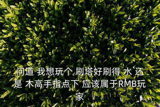 问道 我想玩个 刷塔好刷得 水 还是 木高手指点下 应该属于RMB玩家