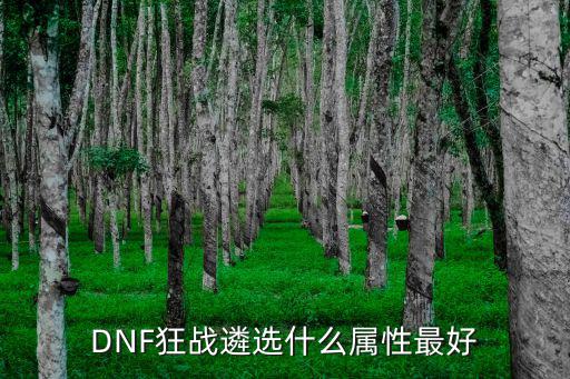 DNF狂战遴选什么属性最好