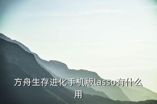 方舟生存进化手机版lasso有什么用