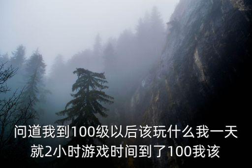 问道我到100级以后该玩什么我一天就2小时游戏时间到了100我该