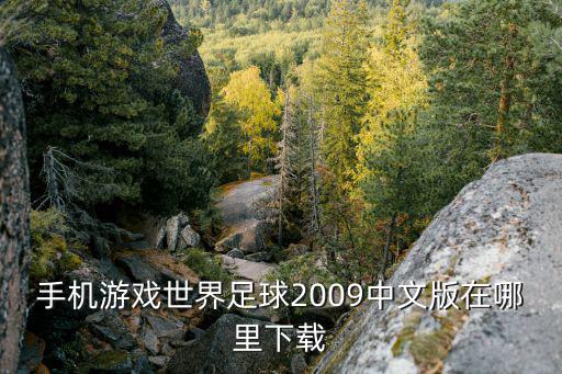 手机游戏世界足球2009中文版在哪里下载