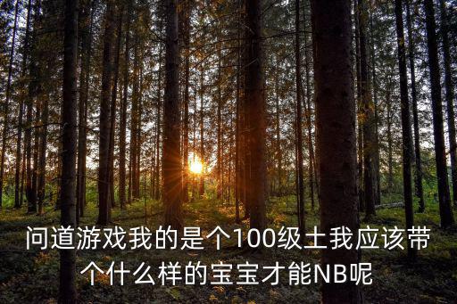 问道游戏我的是个100级土我应该带个什么样的宝宝才能NB呢