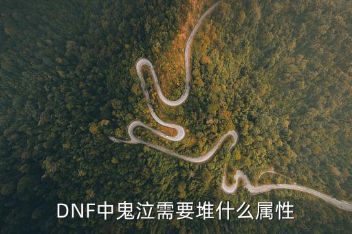 DNF中鬼泣需要堆什么属性