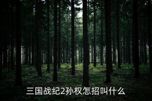 三国战纪2孙权怎招叫什么