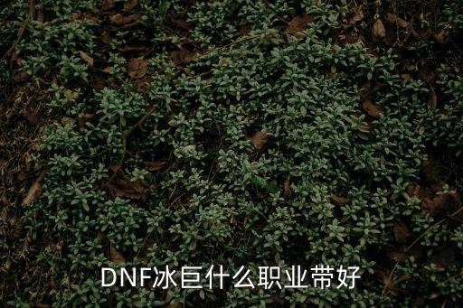 DNF冰巨什么职业带好