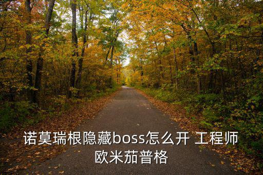 诺莫瑞根隐藏boss怎么开 工程师欧米茄普格