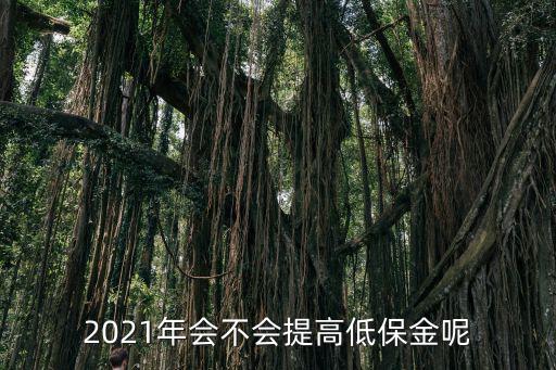 2021年会不会提高低保金呢