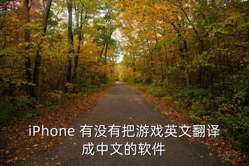 iPhone 有没有把游戏英文翻译成中文的软件