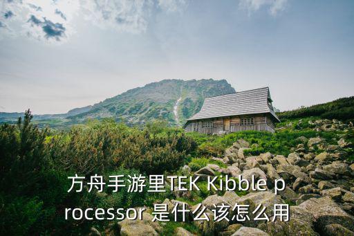 方舟手游里TEK Kibble processor 是什么该怎么用