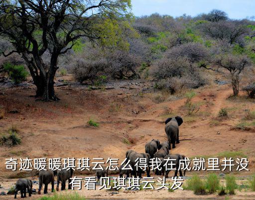 奇迹暖暖琪琪云怎么得我在成就里并没有看见琪琪云头发