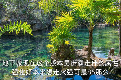 地下城现在这个版本男街霸走什么属性强化好本来想走火强可是85那么