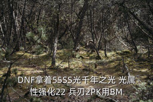 DNF拿着55SS光千年之光 光属性强化22 兵刃2PK用BM