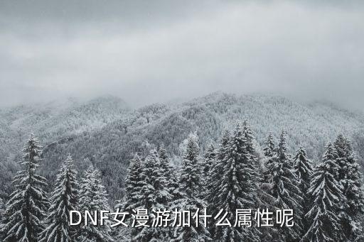 DNF女漫游加什么属性呢