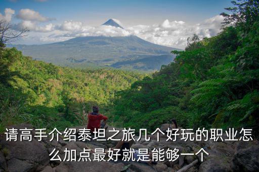 请高手介绍泰坦之旅几个好玩的职业怎么加点最好就是能够一个