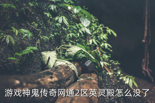 游戏神鬼传奇网通2区英灵殿怎么没了