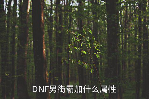 DNF男街霸加什么属性