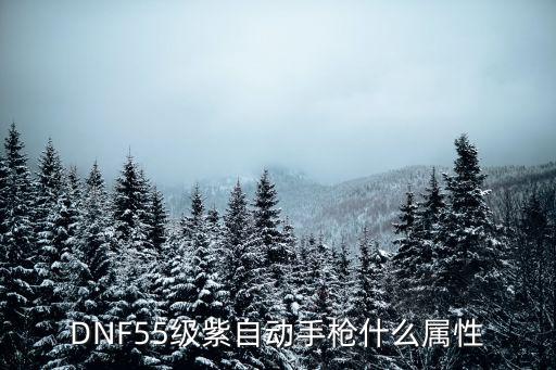 dnf紫手炮什么属性，DNF55级紫自动手枪什么属性