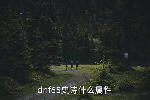 dnf65史诗什么属性