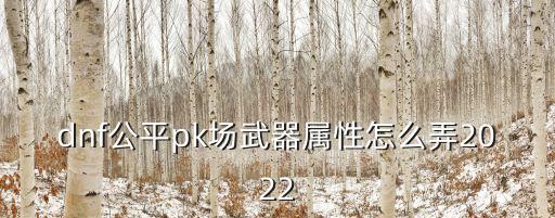 dnf公平pk场武器属性怎么弄2022