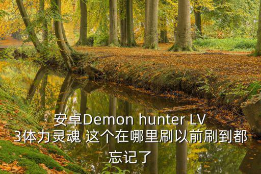 安卓Demon hunter LV3体力灵魂 这个在哪里刷以前刷到都忘记了