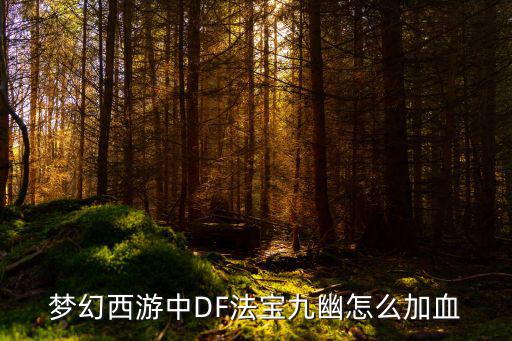 梦幻西游中DF法宝九幽怎么加血