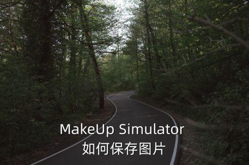 MakeUp Simulator 如何保存图片