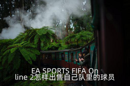 EA SPORTS FIFA Online 2怎样出售自己队里的球员