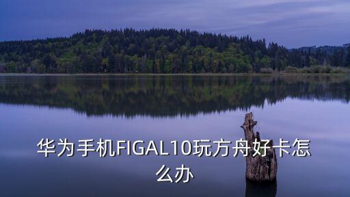 华为手机FIGAL10玩方舟好卡怎么办