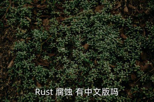 腐蚀手游版怎么调中文，Rust 腐蚀 有中文版吗