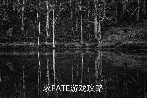 求FATE游戏攻略