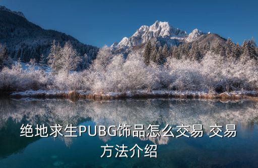 绝地求生PUBG饰品怎么交易 交易方法介绍