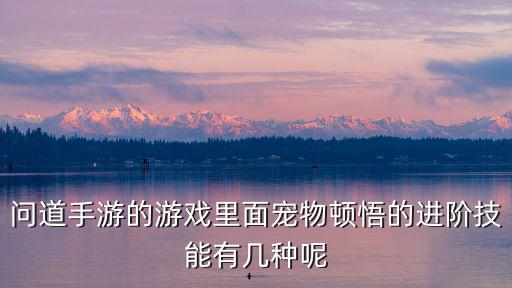 问道手游的游戏里面宠物顿悟的进阶技能有几种呢