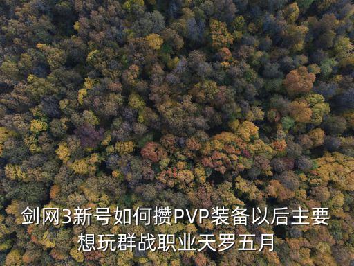 剑网3新号如何攒PVP装备以后主要想玩群战职业天罗五月