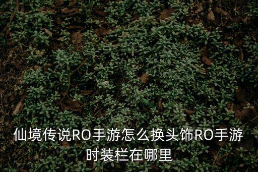 仙境传说RO手游怎么换头饰RO手游时装栏在哪里