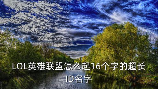 LOL英雄联盟怎么起16个字的超长ID名字