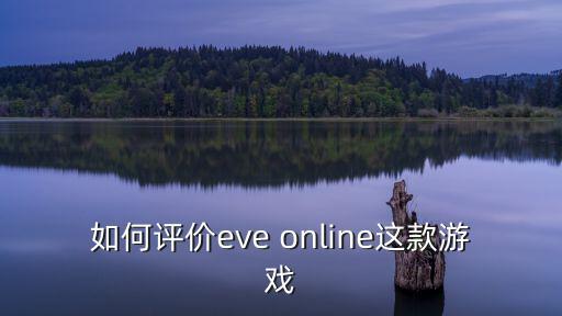 如何评价eve online这款游戏