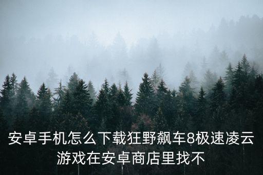 安卓手机怎么下载狂野飙车8极速凌云游戏在安卓商店里找不