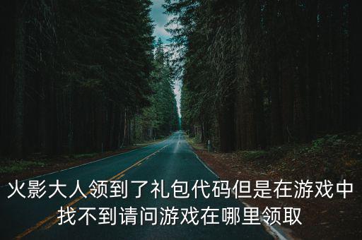 火影忍者手游指令怎么获取，火影大人领到了礼包代码但是在游戏中找不到请问游戏在哪里领取